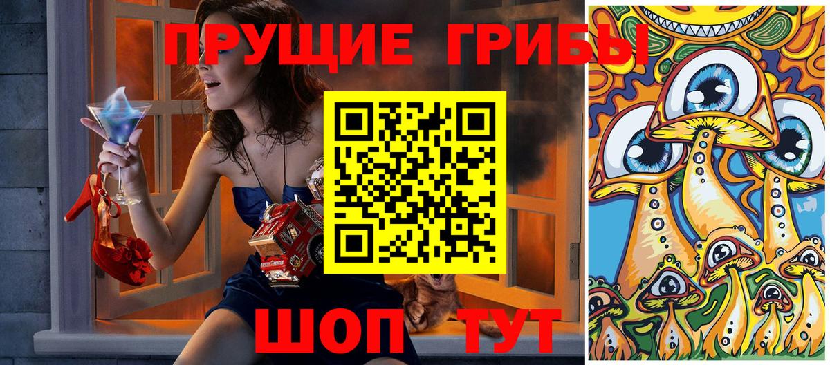 Галлюциногенные грибы Cubensis Чебоксары