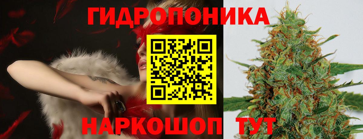 МАРИХУАНА семена Чебоксары